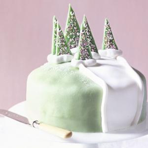 Frosty forest cake_image