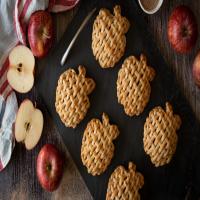 Apple Cinnamon Latticed Hand Pies_image