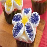 May Flowers Cupcakes_image