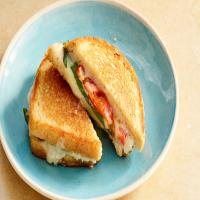 Grilled Taleggio Sandwich with Tomato and Basil_image