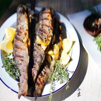 Grilled Whole Stuffed Trout_image