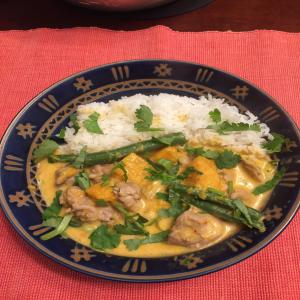 Red Thai Chicken Curry With Pumpkin and Beans_image
