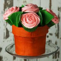 Flower Pot 'Box' Cake Recipe by Tasty image