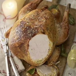 Roast turkey with citrus butter_image