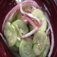 Dilled Cucumber and Onions image