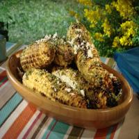 Grilled Corn on the Cob with Cilantro Pesto_image