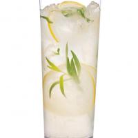 Sparkling Tarragon-Gin Lemonade image