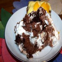 Chocolate Wattleseed Mousse With Wattleseed Cream image
