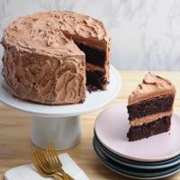 The Best Chocolate Cake_image