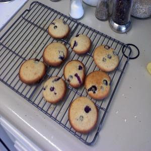 Fresh Blueberry Drop Cookies_image