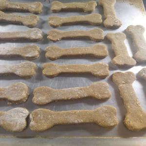 Pumpkin Dog Cookies_image