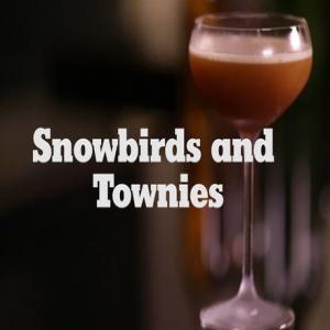 Snowbirds and Townies_image