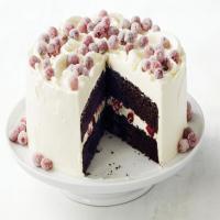 Chocolate Almond Cake with Sugared Cranberries_image