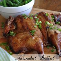 Marinated, Grilled, Flattened Chicken Recipe_image