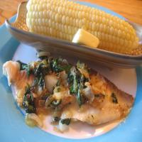 Filet of Fish Stuffed With Spinach and Feta_image