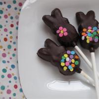 Instant Chocolate Covered Bunnies (On a Stick)_image
