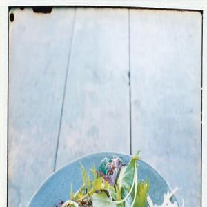 Farmers Market Salad with Aged Gouda and Roasted Portabellas image