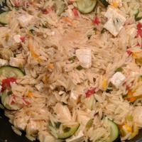 Orzo with Tomato and Fried Tofu_image