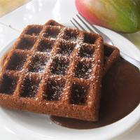 Gingerbread Waffles with Hot Chocolate Sauce image