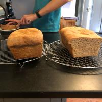 Whole Wheat Bread II_image