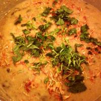 Slow Cooker Hyderabadi Haleem (Lentil and Lamb Stew)_image
