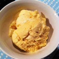 Pumpkin Eggnog Ice Cream Recipe - (4.1/5)_image