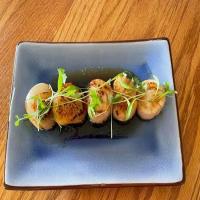 Pan Seared Sea Scallops in Soy Ginger Honey Sauce_image