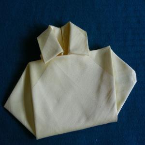 Serviette/Napkin Folding, the Shirt Fold. image