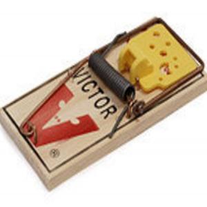 Mouse Traps for Camping_image