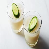 Frozen Gin and Tonic image