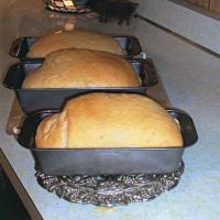 Salt-Rising Bread, or Pioneer Bread Recipe - (4.1/5)_image