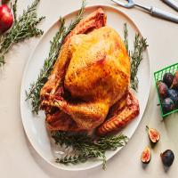 Brined and Barbecued Turkey image