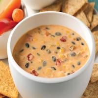 Spicy Mexican Cheese Dip with Beans_image