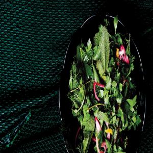 Herb Salad with Pickled Red Onion and Preserved Lemon image