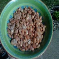 Mexican Beans- pinto_image