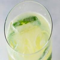 Sunny Deck Drink Essentials: Gin Rickey image