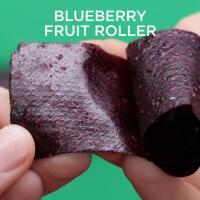 Blueberry Fruit Rollers Recipe by Tasty_image