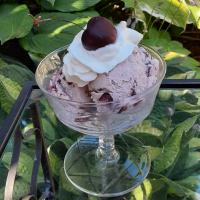Easy Cherry-Chocolate Chunk Ice Cream image