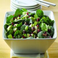 Pomegranate-Spinach Salad with Apples_image