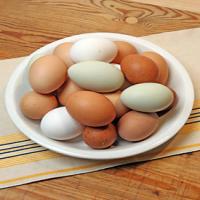 Basic Poached Eggs image