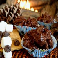 Easy S'more Clusters - Indoor S'mores image