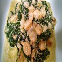 CREAMED SPINACH & PEARL ONIONS_image