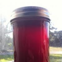 Prickly Pear Cactus Fruit ) Jelly Recipe - (4.3/5) image