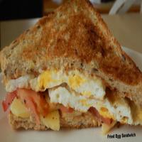 Fried Egg Sandwich_image