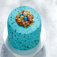 Speckled Egg Cake image