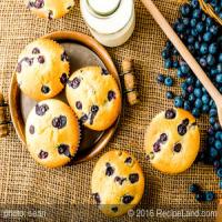 Blueberry Cornmeal Muffins_image