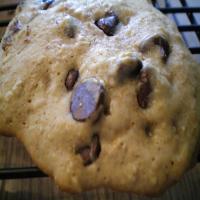 The Best Lower Fat Chocolate Chip Cookies_image