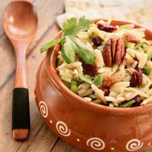 Orzo Pasta Salad with Dried Cranberries_image