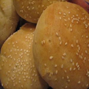 Sourdough Hamburger Buns image