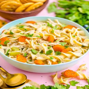 Instant Pot Chicken Noodle Soup_image